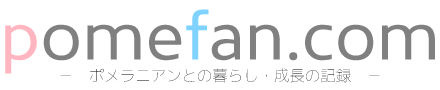 ポメラニアンとの暮らし・成長の記録　pomefan